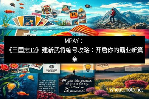 MPAY：《三国志12》建新武将编号攻略：开启你的霸业新篇章